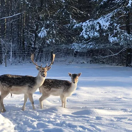 ファームステイ Za Wsia